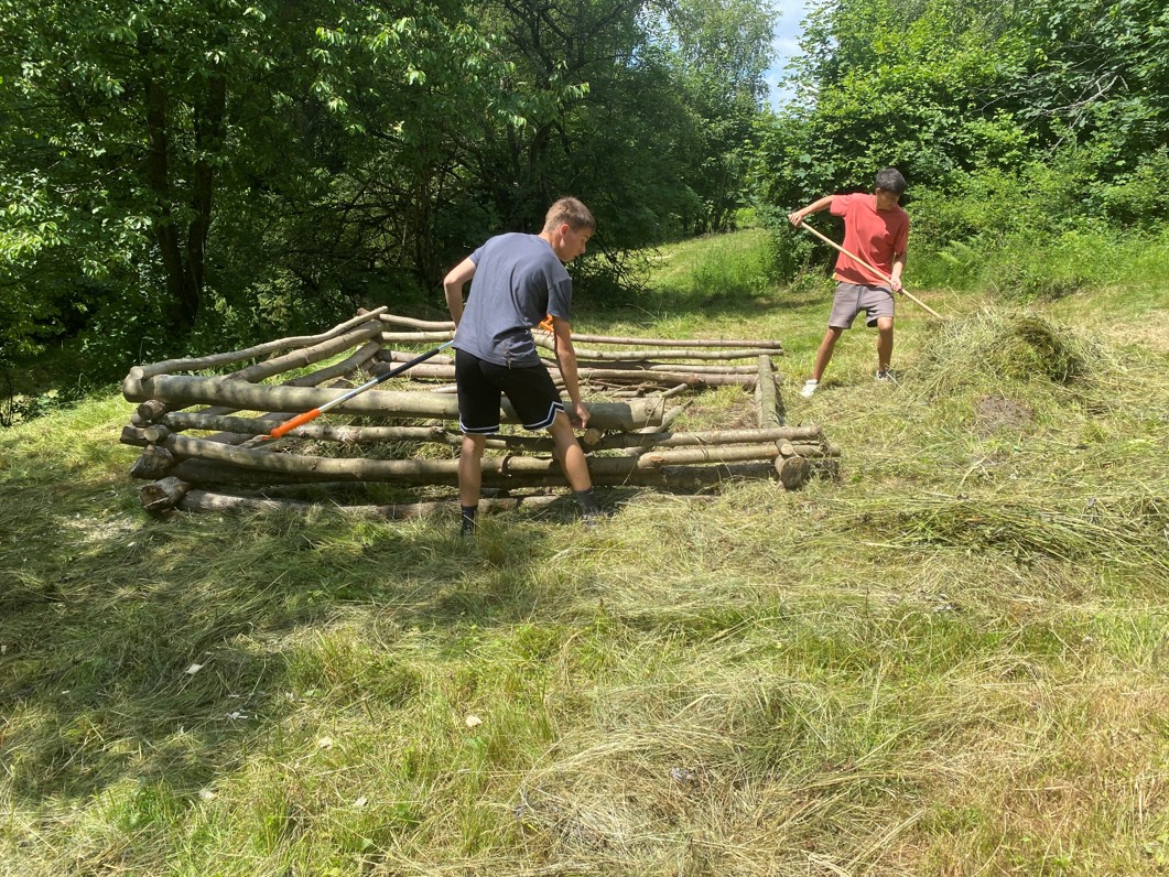 pridavani travy do hadniku