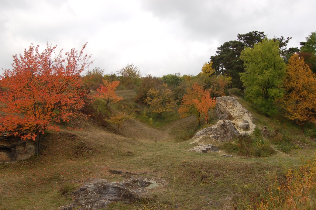 Podzimně zbarvené stromy a keře na Kaňku.