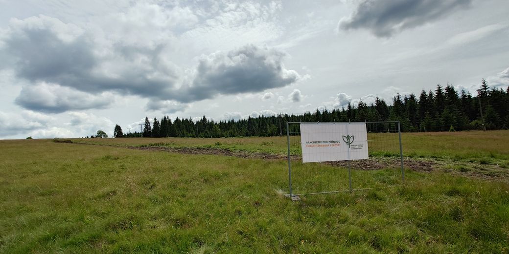 Obnova vodního režimu na Jizerce