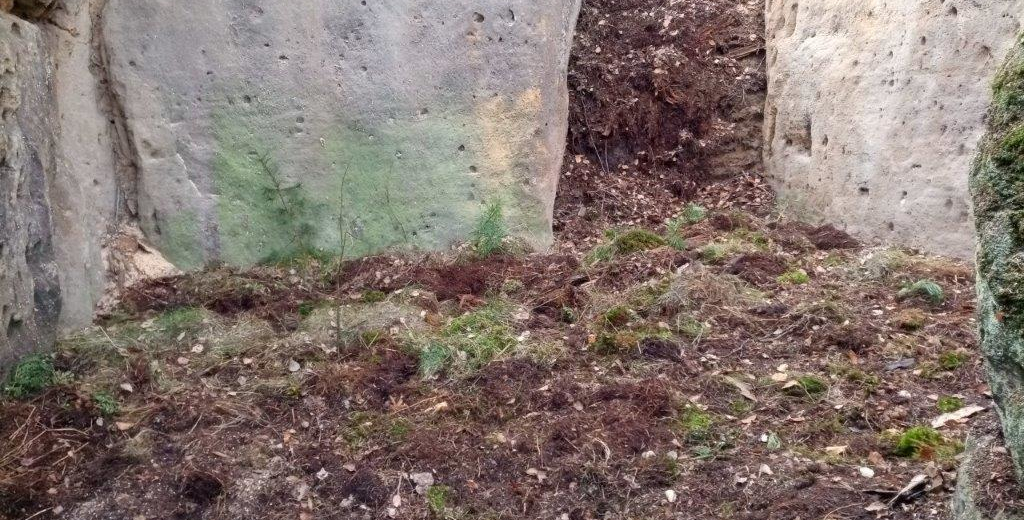 Po odstraněných tábořištích již v lese není ani památky.